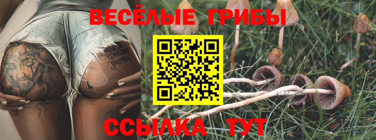 Галлюциногенные грибы мухоморы  Вход с VPN  цена наркотик  Всеволожск 